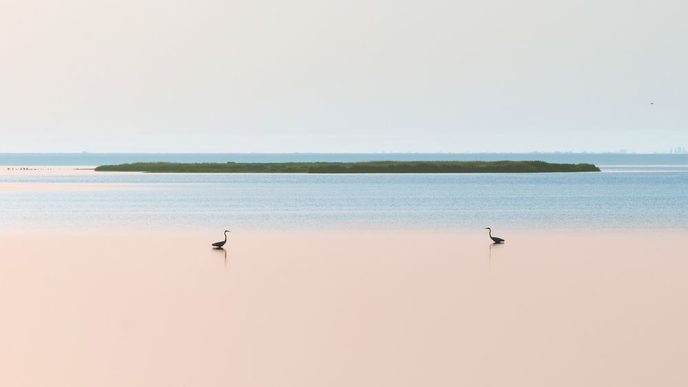 Медитация...