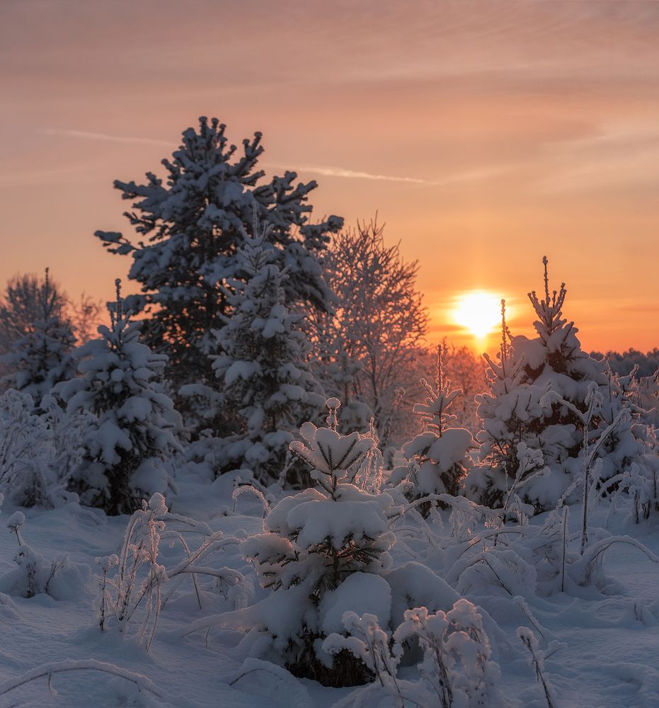 Photograph by Алексей Юницын