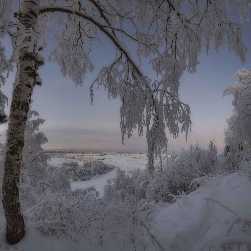 "Пушистая зима"