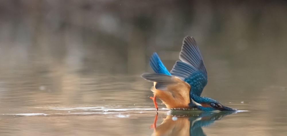 Upps .. my mistake .Lol