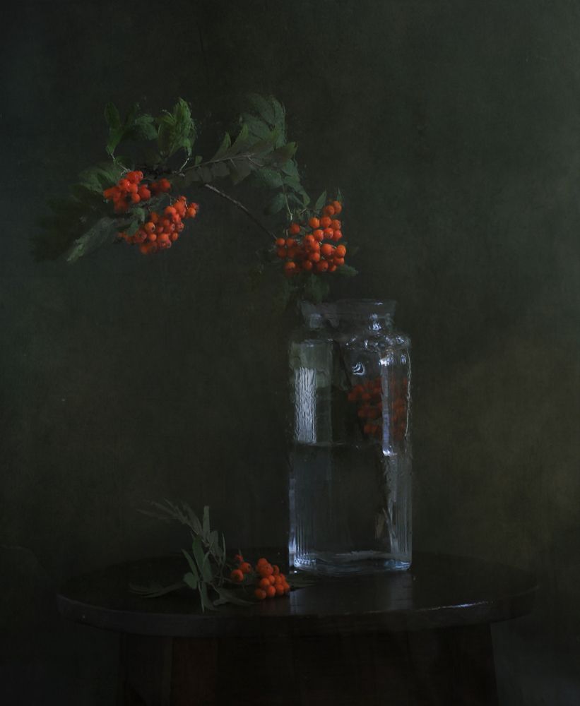 Рябиновые кисти...