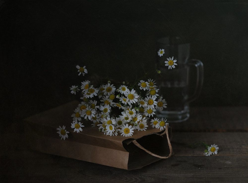 Какое лето без ромашек...