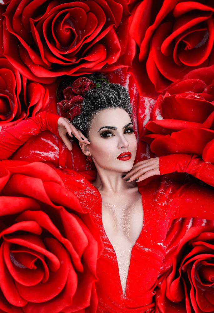 Зимняя роза