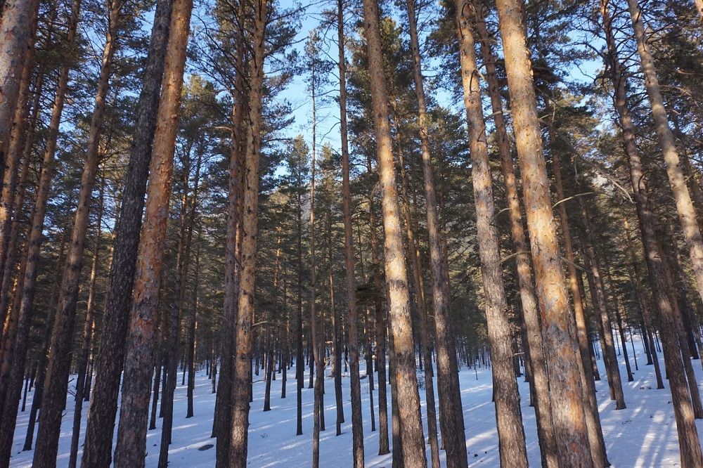 Боровое.  Осень