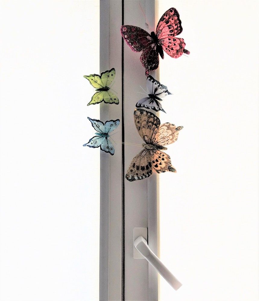 Бабочки на раме