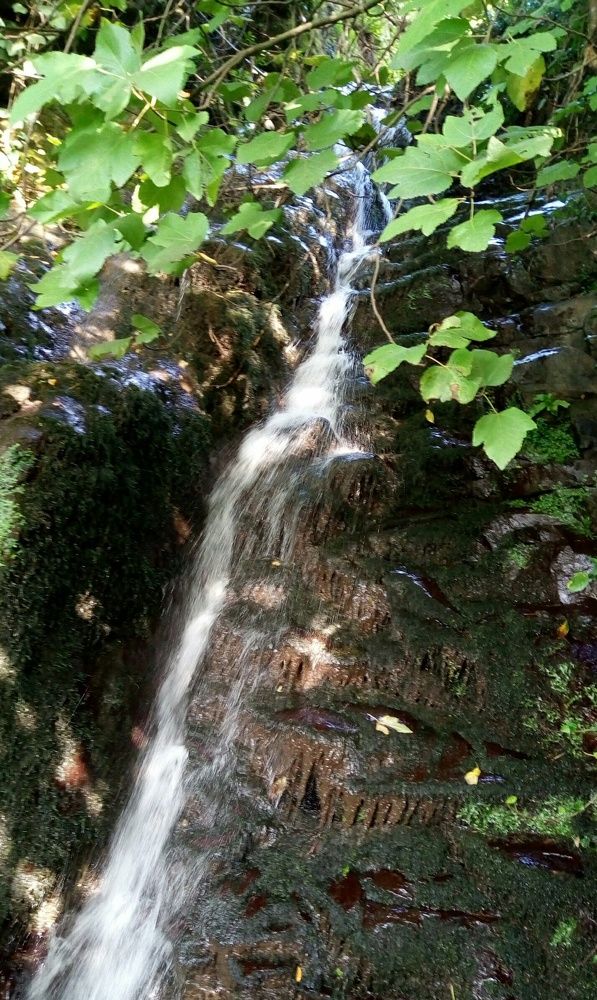 Фотография автора Olesya Kiknadze