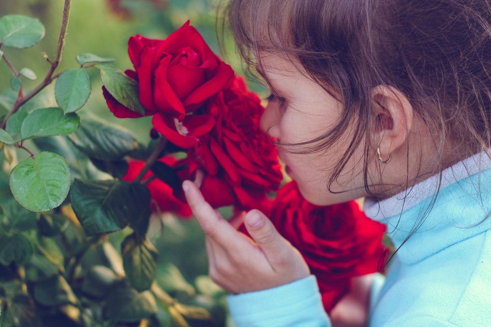 Маленькая женщина