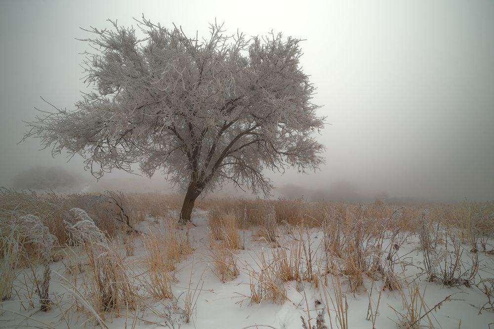 Photograph by Юрий Лисовой