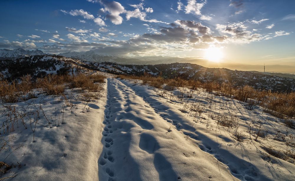 Photograph by Юрий Лисовой