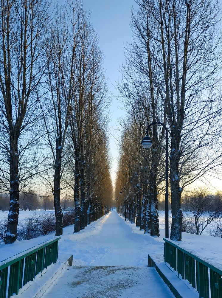 Photograph by Дарья