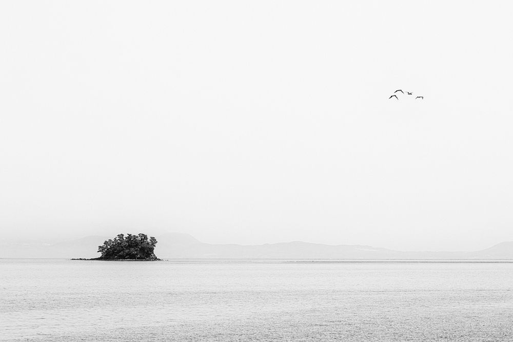 Hedgehog in the fog / Ёжик в тумане