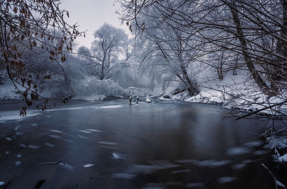 в тихой заводи