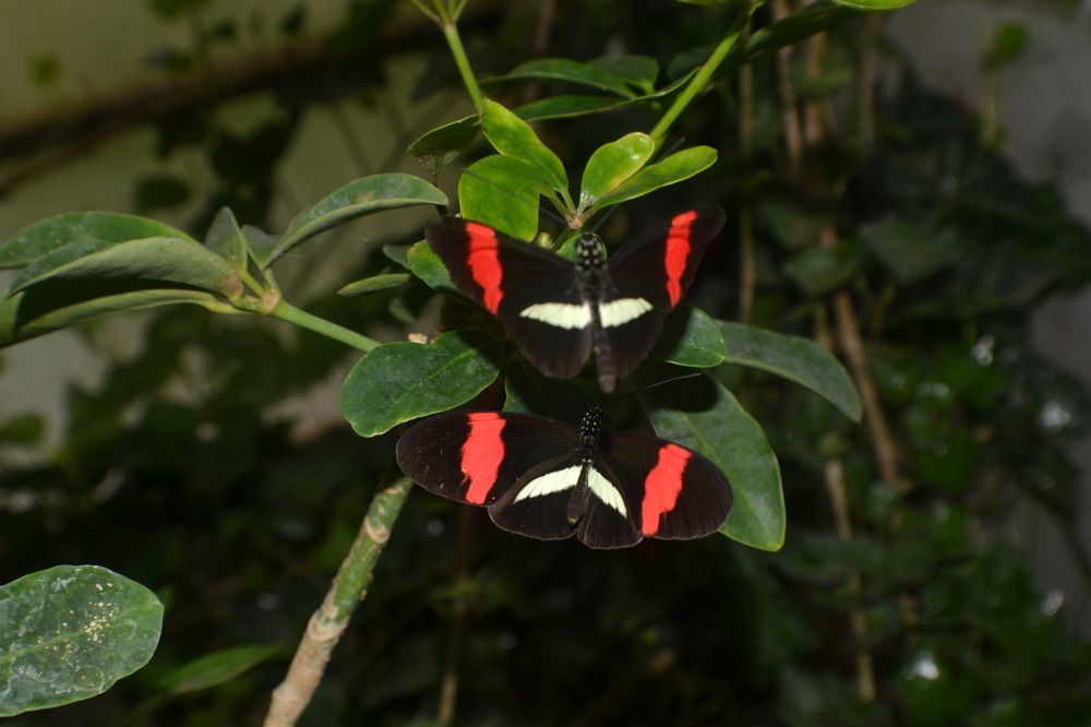 Photograph by Игорь Лебедев