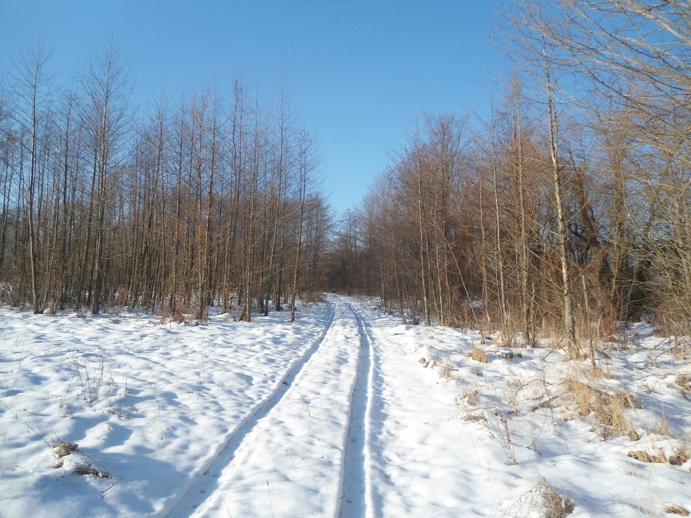 Село