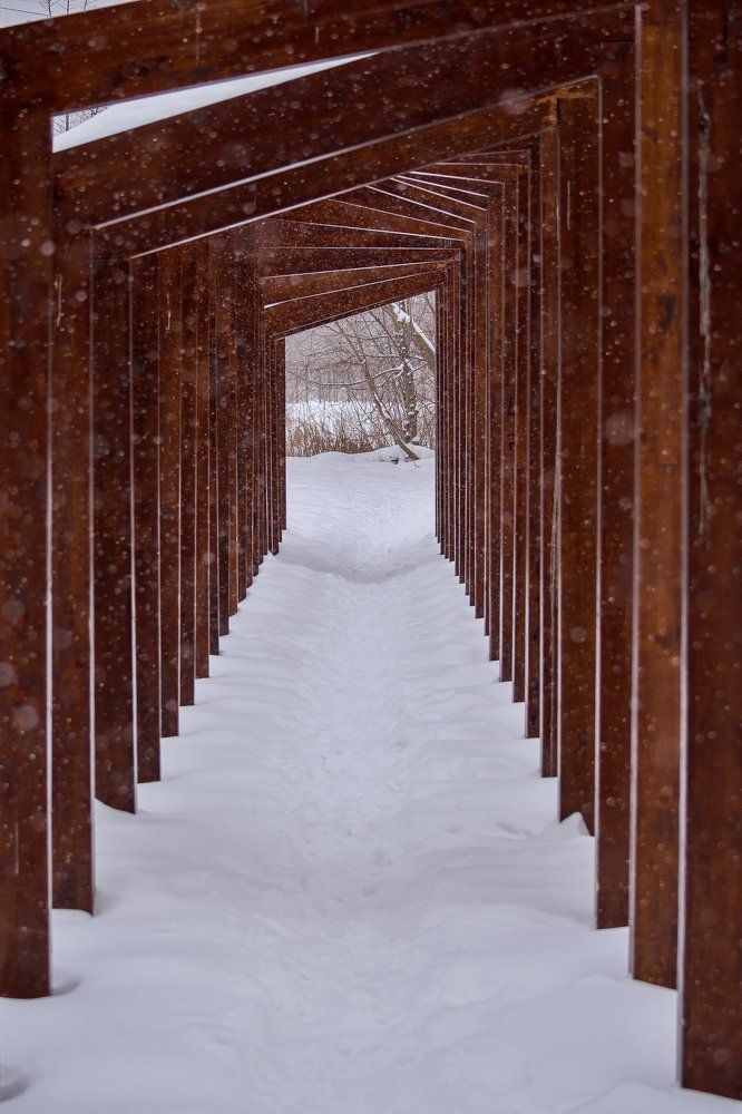 Photograph by Сергей Басов