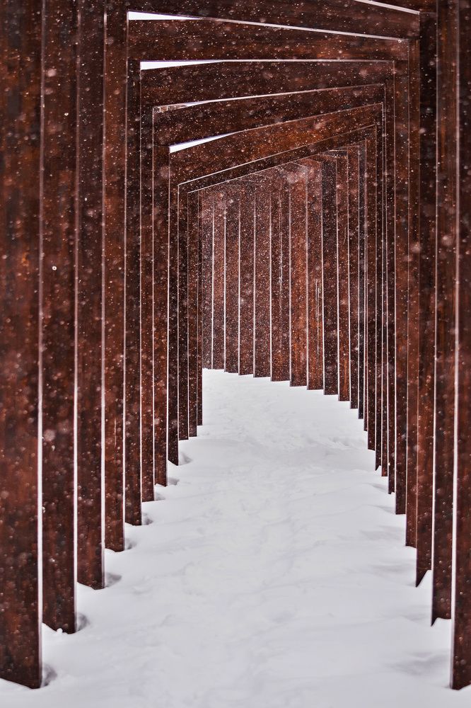 Фотография автора Сергей Басов