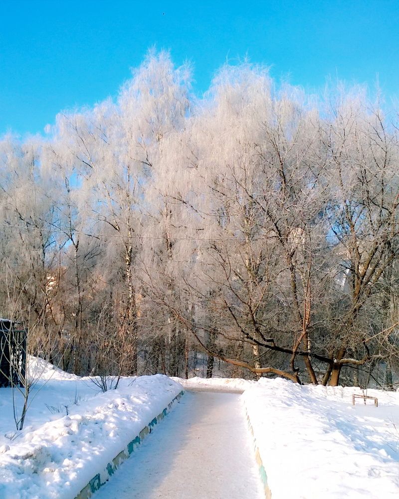 Зимняя Сказка 2019