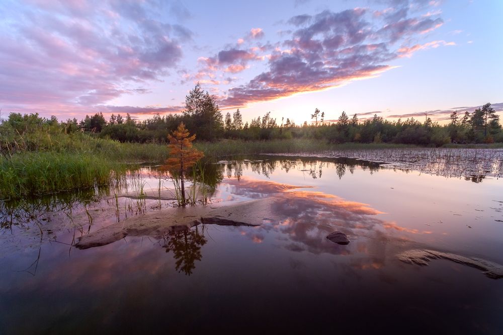 Photograph by Юлия Лаптева