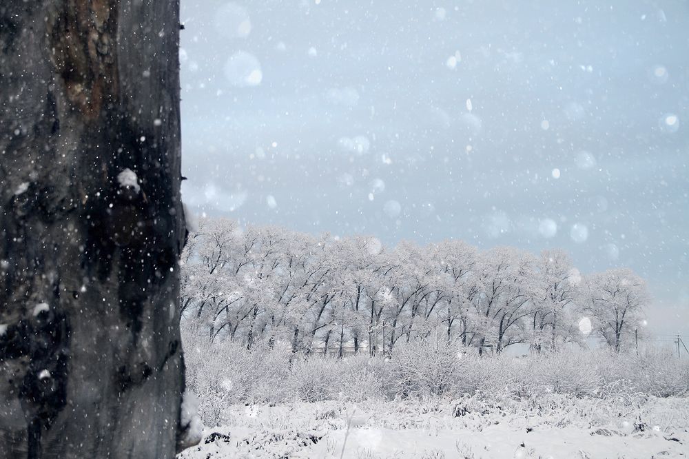 Photograph by Dzianis Mizhui