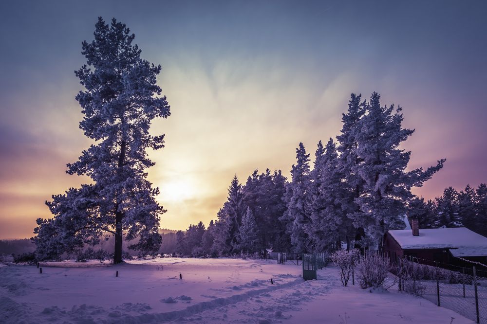 Photograph by Андрей Ожерельев