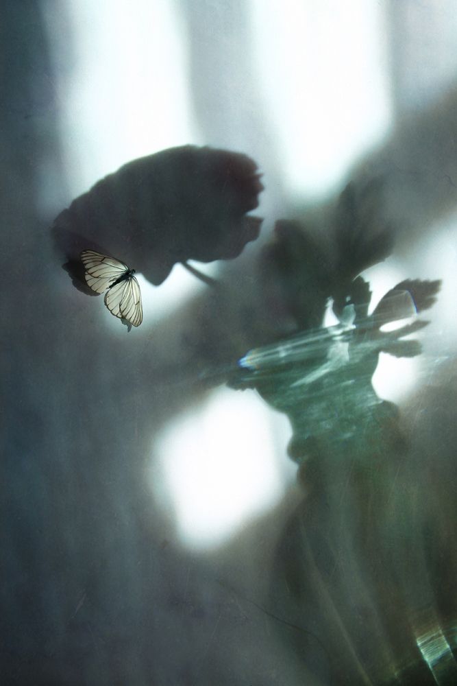 Photograph by Курочкина Диана