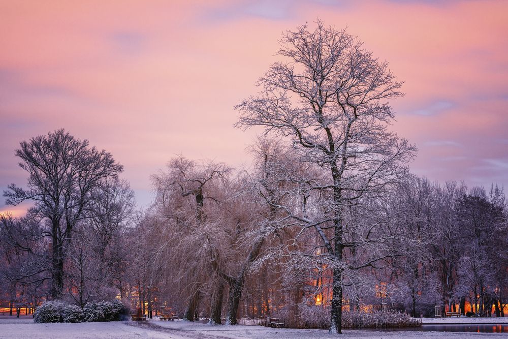 Photograph by Андрей Ожерельев