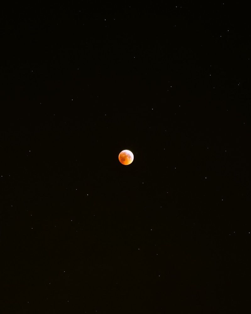 Кровавая луна