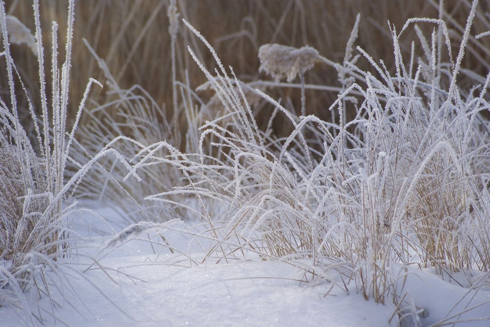 Photograph by Gabriel Wolf
