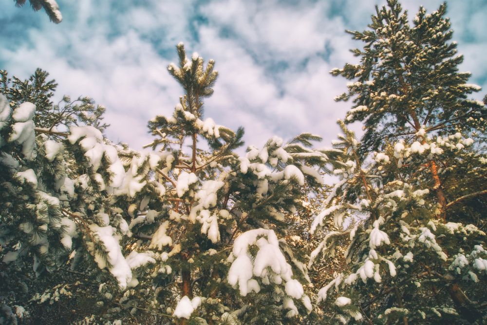 Photograph by Gabriel Wolf