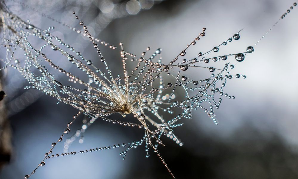 Осеннее украшение