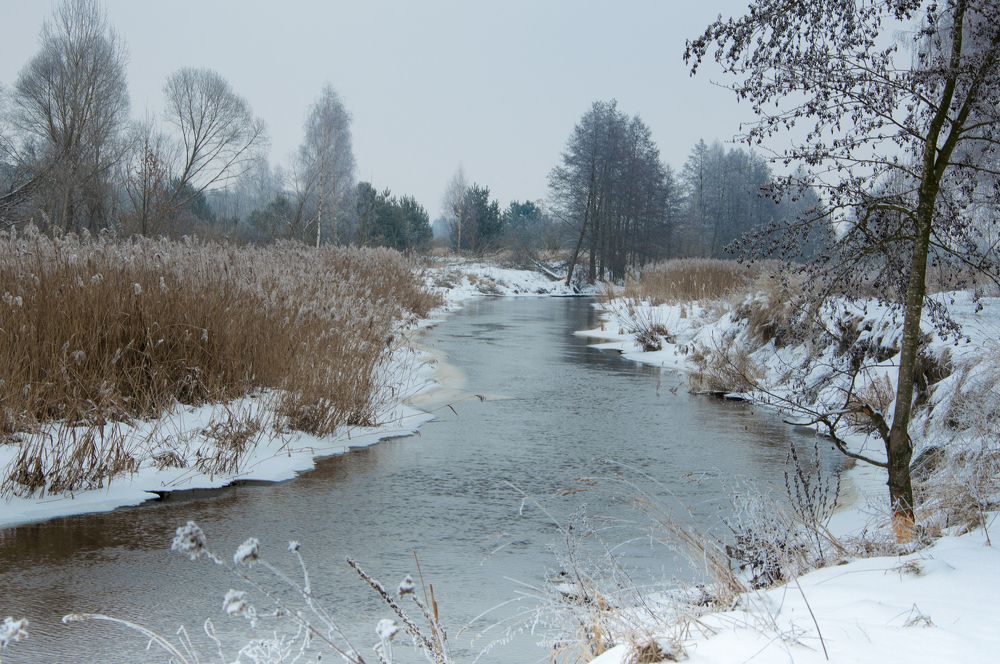 Photograph by Алексей Крукович