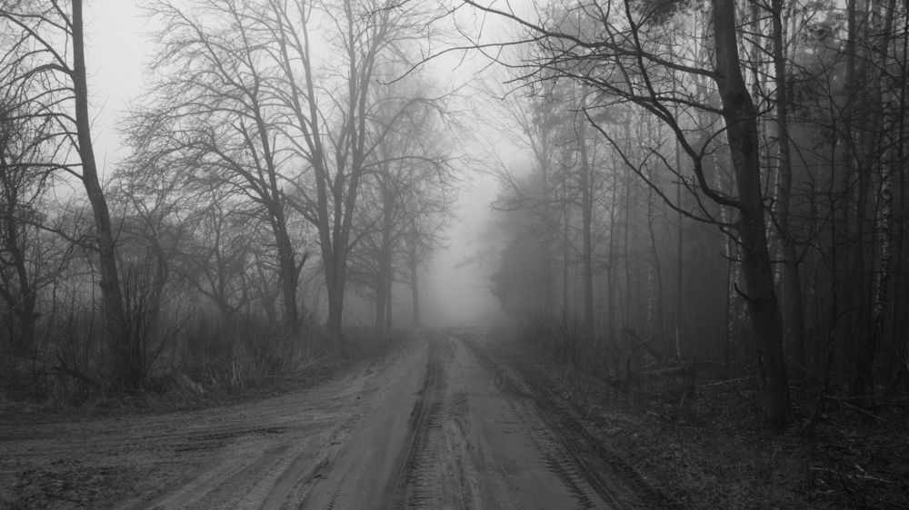 Photograph by Алексей Крукович