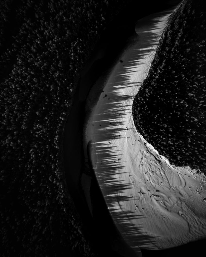 Лесная тень