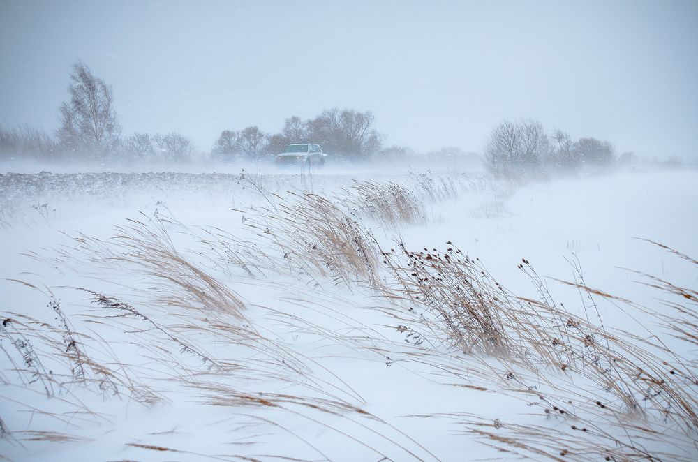 Сквозь стихию