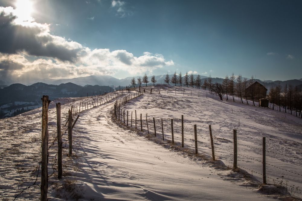 Magical winter in Transylvania