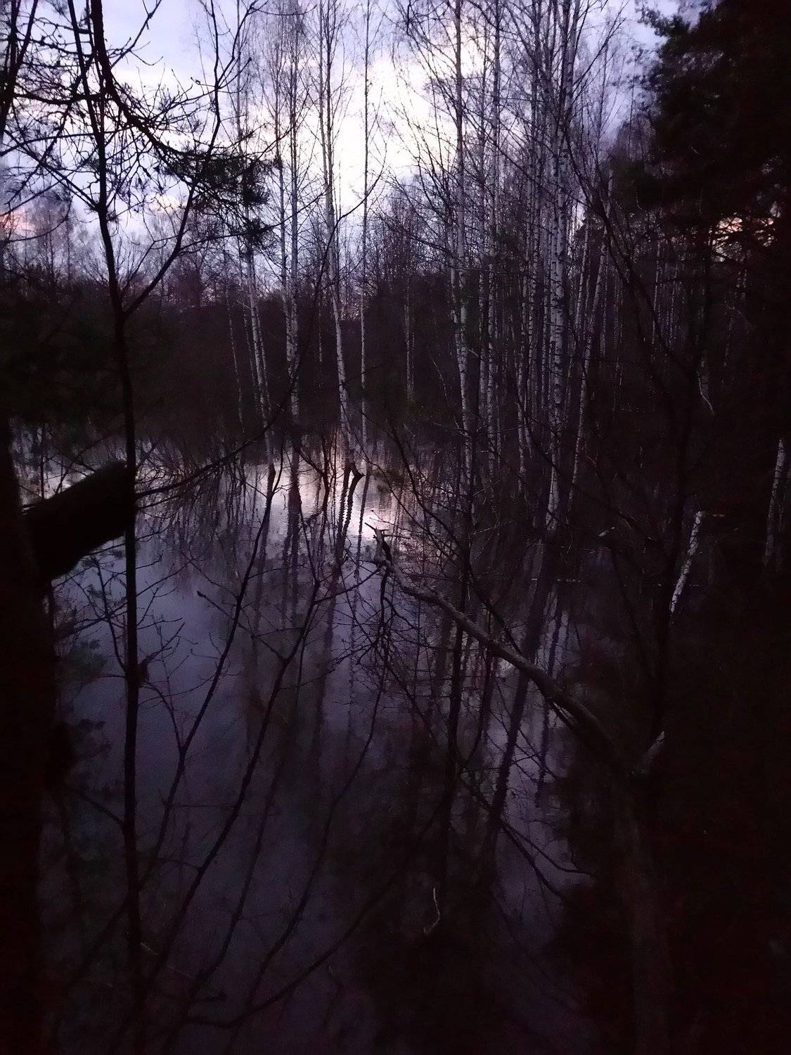 Вечер на разливе