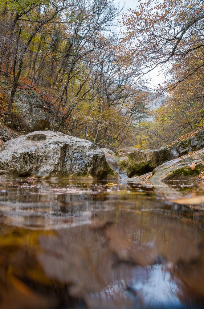 Photograph by Андрей Сосненко