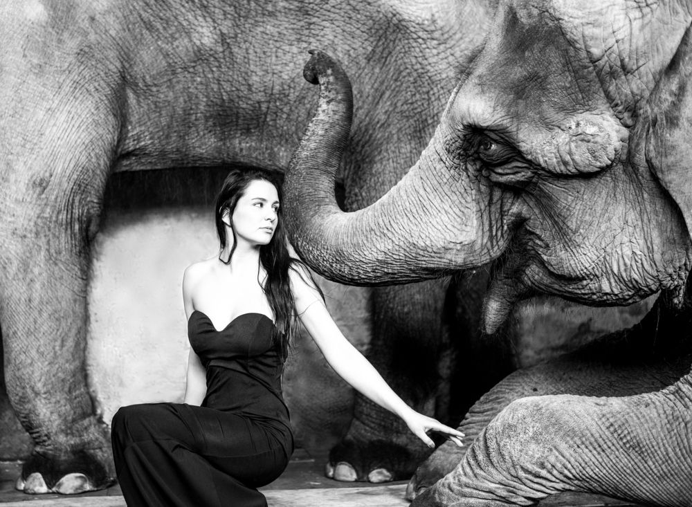 Соприкосновение