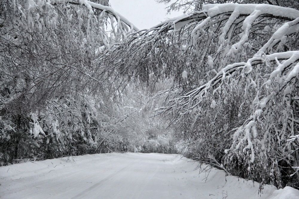 зимняя дорога