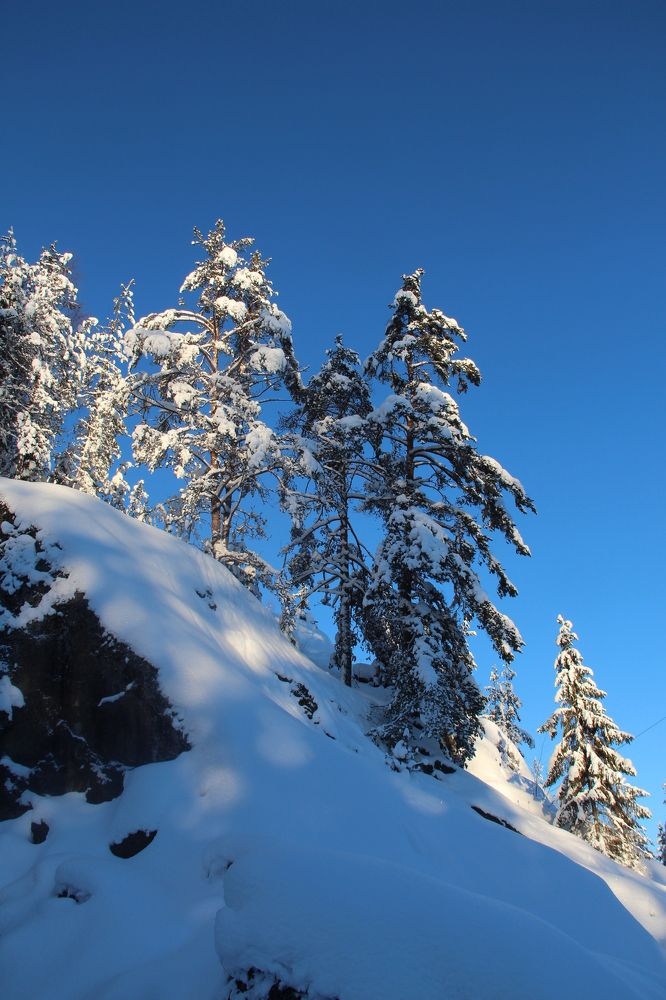 морозный день