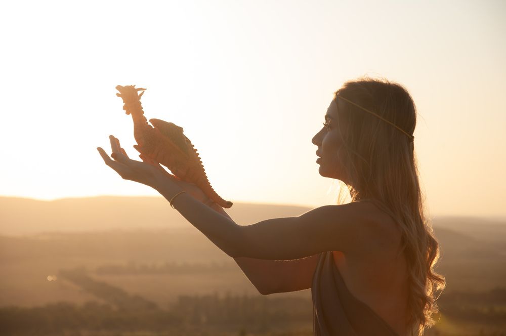 Девушка с драконом