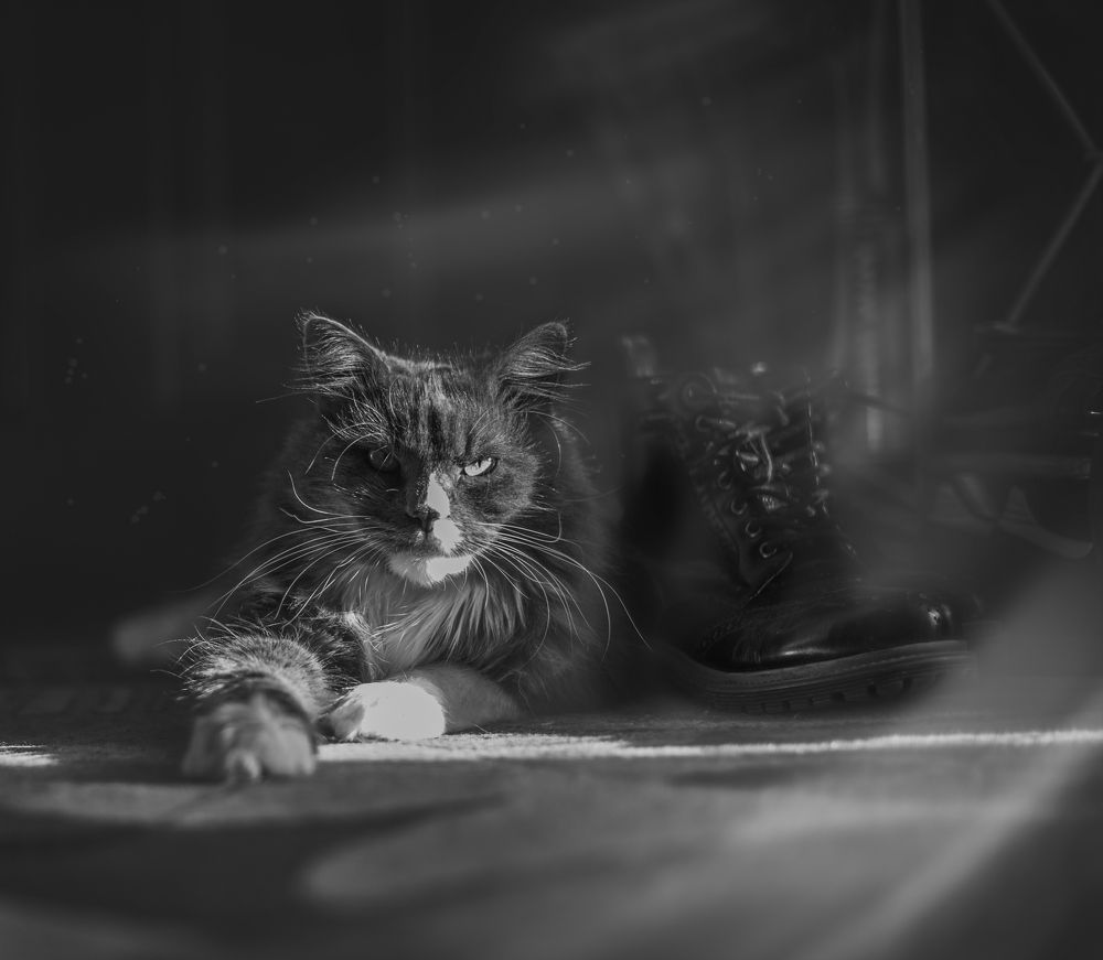 Нафаня(в миру просто Фушик)