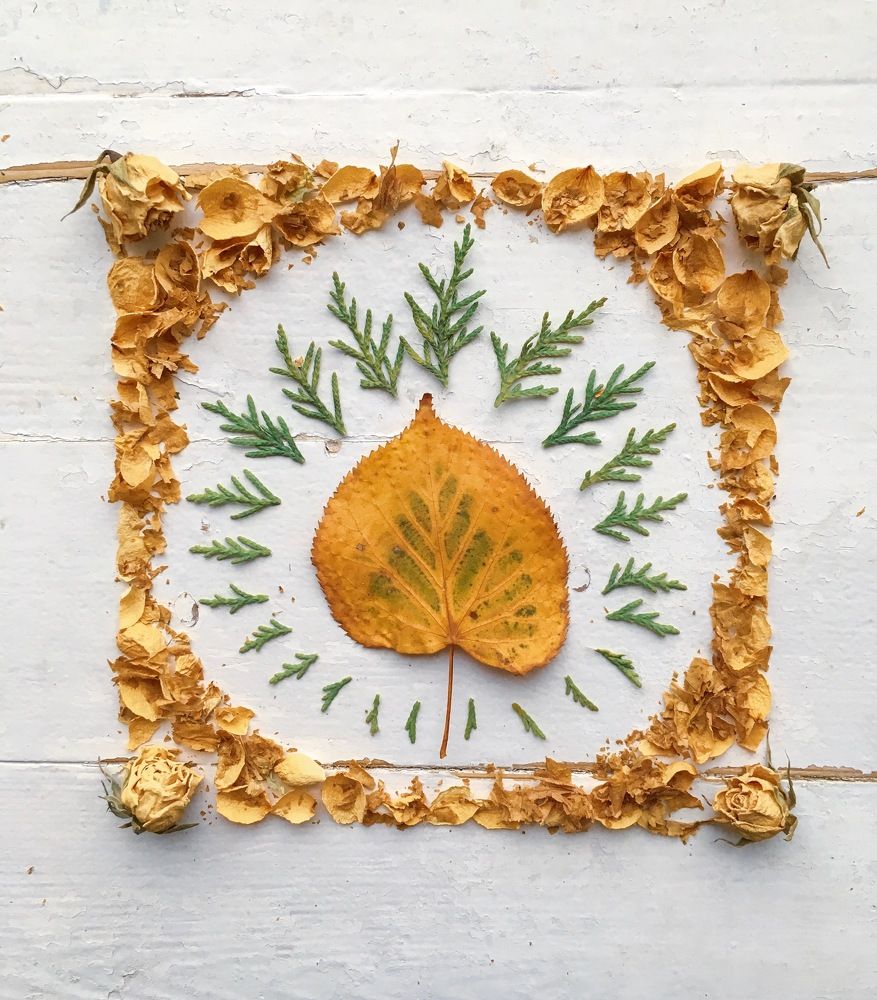 Photograph by Ekaterina