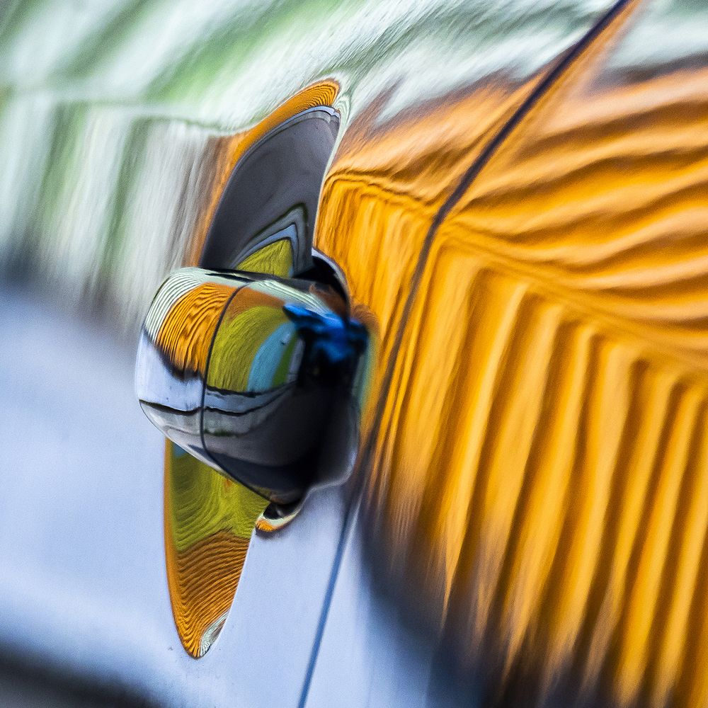 Майский жук/ Chafer