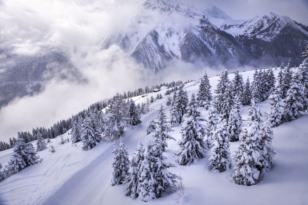 Через Альпы