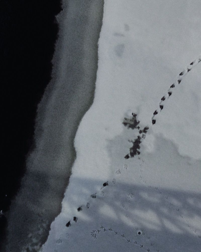 Photograph by Анна Леденёва