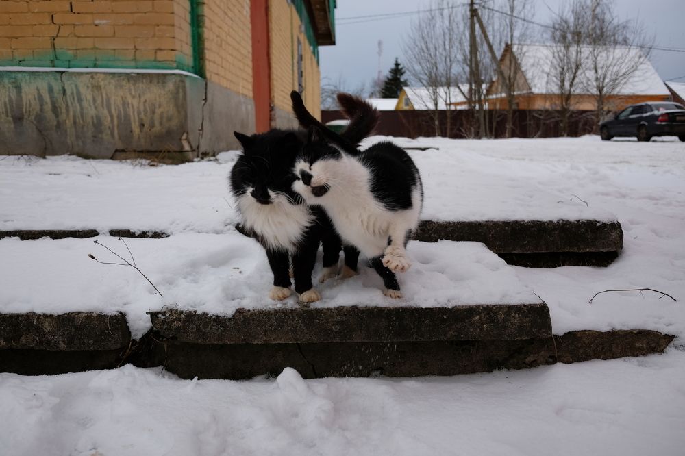 Photograph by Анна Леденёва