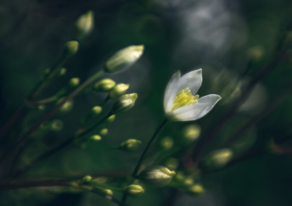 Photograph by Мария Бузыцкая