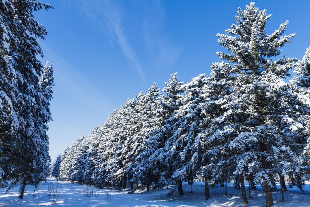 Фотография автора Андрей Серый