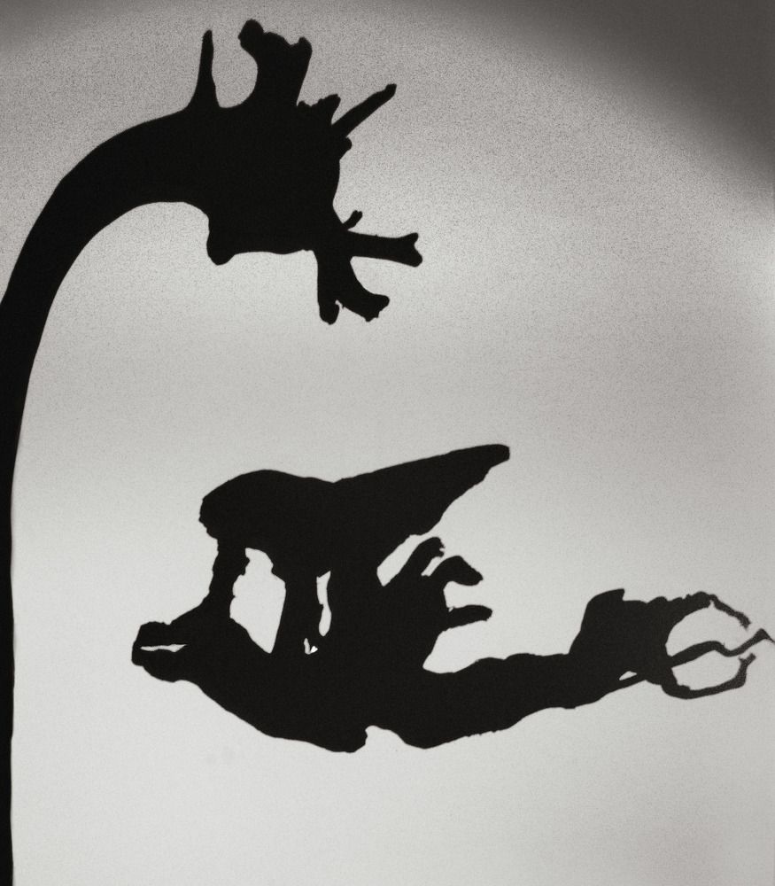 Встреча в подводных глубинах